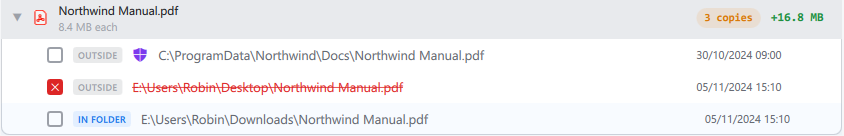 An expanded group, with copies inside and outside the selected folder, one marked and one in a protected folder